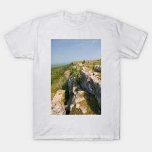 Scout Scar T-Shirt